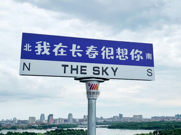 caption image